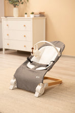 Naložite sliko v pregledovalnik galerije, Gugalnik Bouncer Pine | Siva