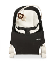 Naložite sliko v pregledovalnik galerije, Gugalnik Bouncer Pine | Črna
